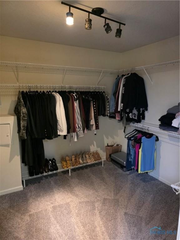 walk in closet featuring carpet flooring