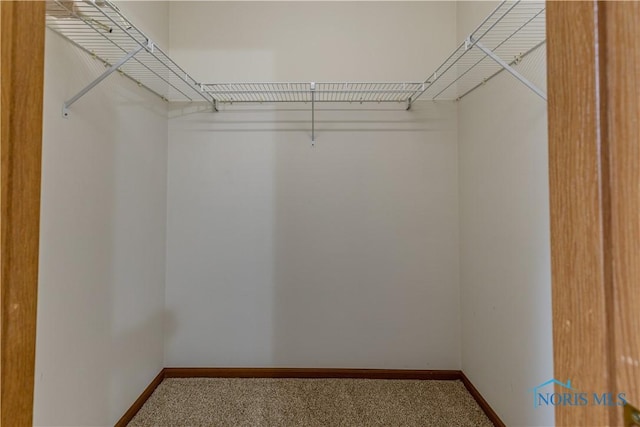 walk in closet with carpet