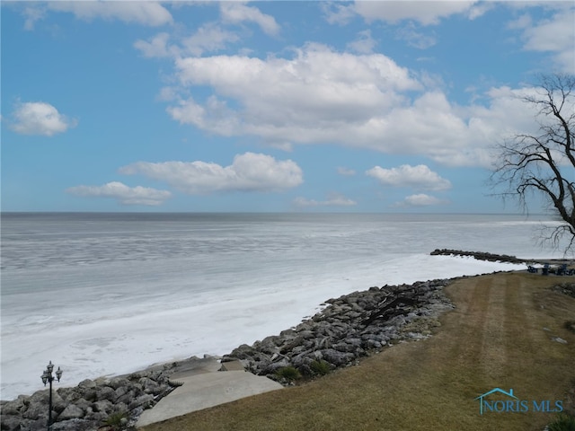 water view featuring a beach view