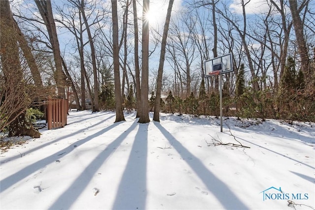 view of snowy yard