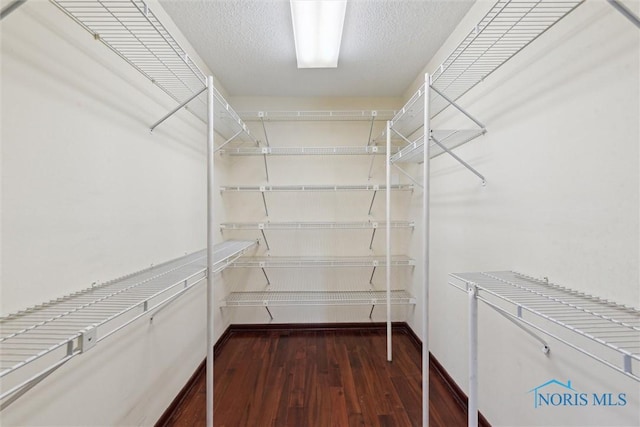 walk in closet with dark wood-style floors