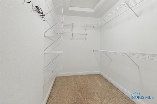 walk in closet with light carpet