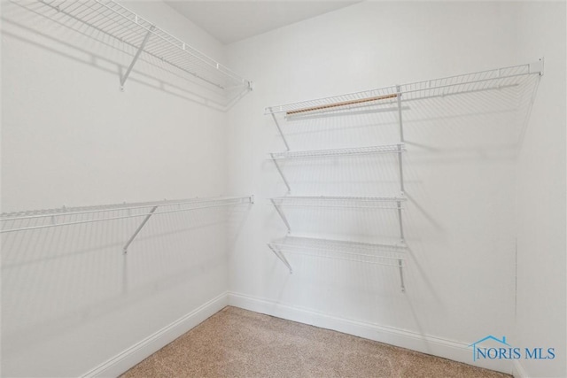 walk in closet with carpet