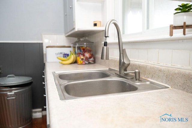 room details featuring a wainscoted wall, light countertops, and a sink