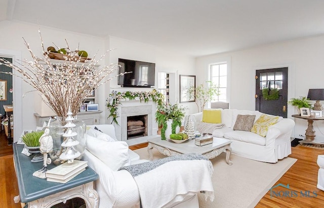 living room featuring a fireplace and wood finished floors