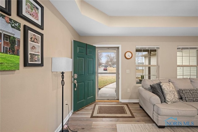 entrance foyer featuring baseboards and wood finished floors