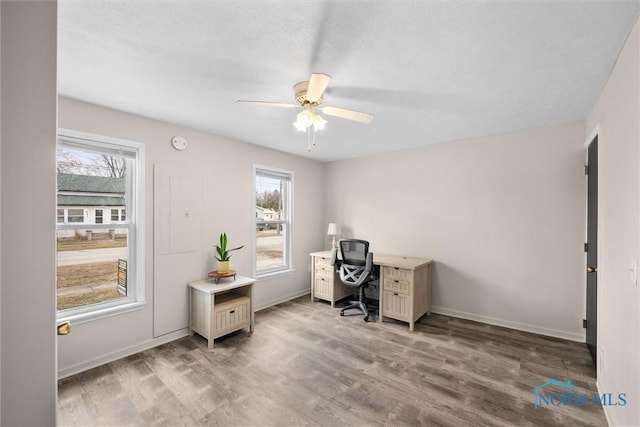 office space featuring ceiling fan, wood finished floors, a wealth of natural light, and baseboards