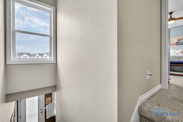 stairway featuring carpet flooring and baseboards