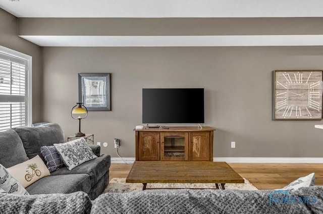 living room featuring baseboards and wood finished floors