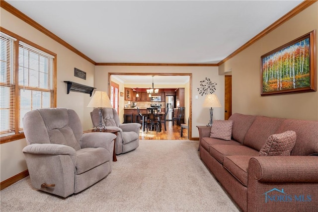 carpeted living room with a notable chandelier, crown molding, baseboards, and wood finished floors