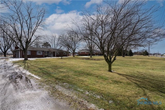 view of yard featuring driveway and an attached garage