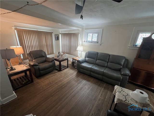 living area featuring wood finished floors