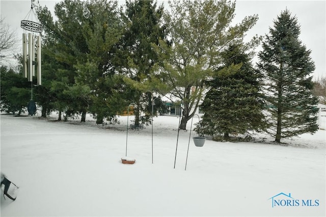 view of yard covered in snow