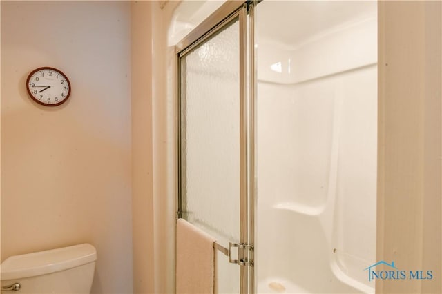 bathroom with toilet and a stall shower