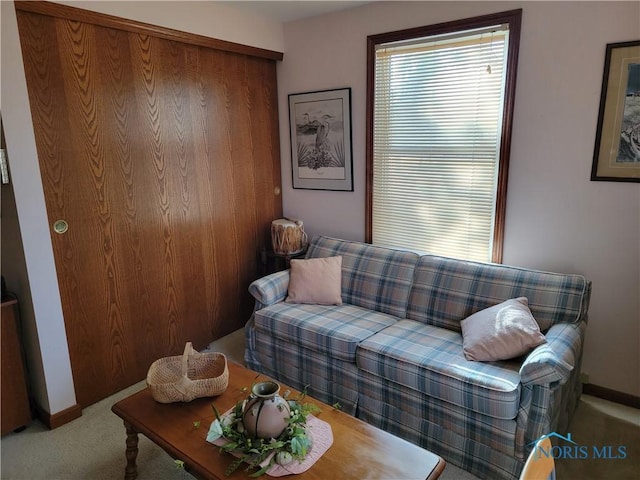 living room featuring carpet, plenty of natural light, and baseboards