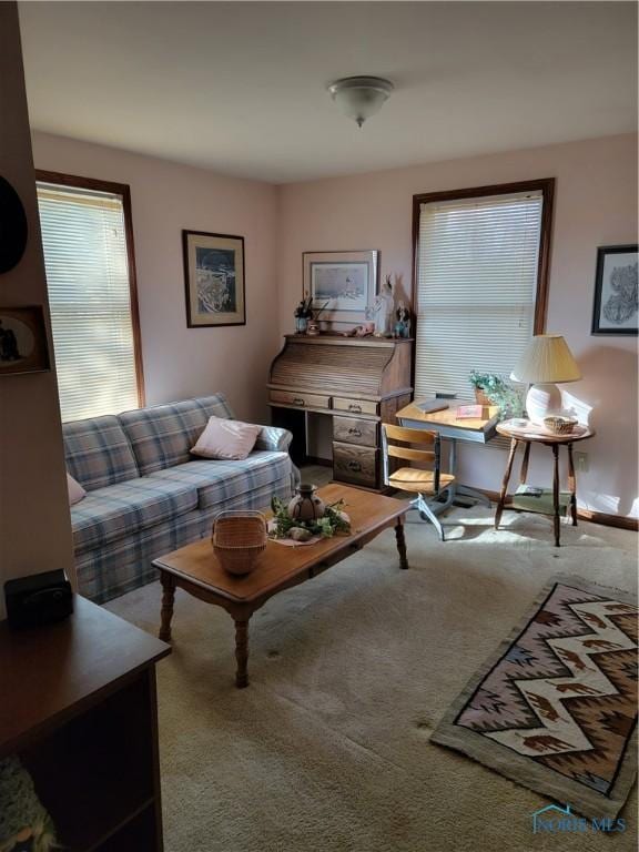 living room featuring baseboards and carpet flooring