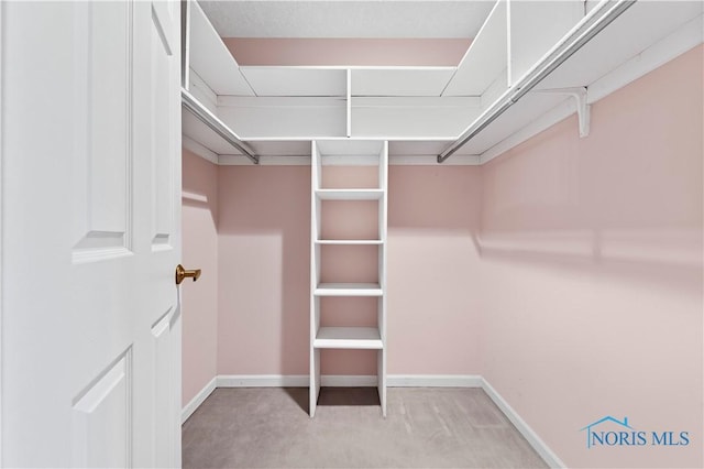 walk in closet featuring light carpet