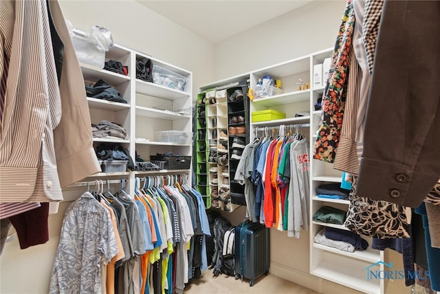 walk in closet featuring carpet