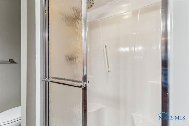 bathroom featuring toilet and a stall shower