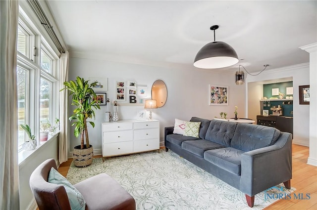 living room featuring light wood-type flooring, baseboards, and crown molding