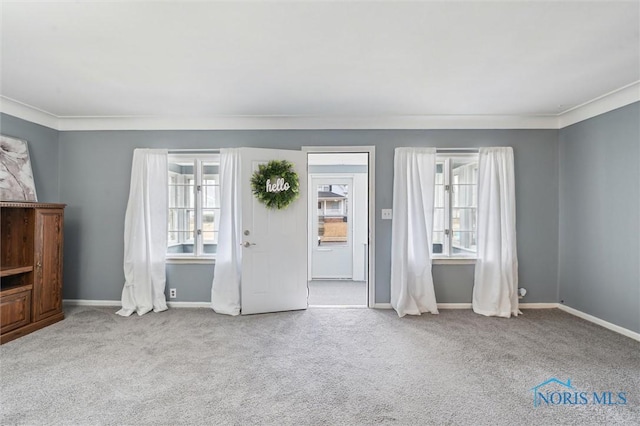 interior space with carpet, a wealth of natural light, and crown molding