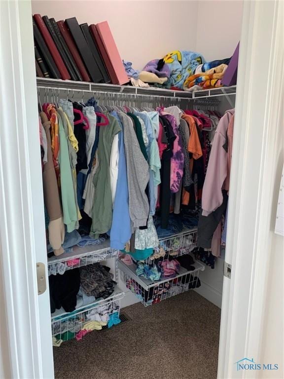 walk in closet with carpet floors