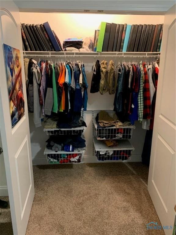 view of walk in closet