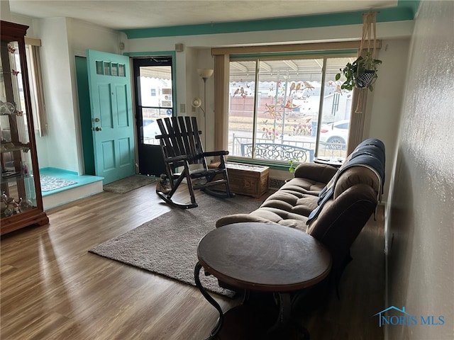 living area featuring wood finished floors