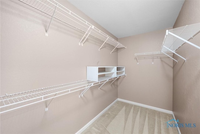 spacious closet featuring carpet floors