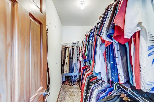 spacious closet featuring carpet floors