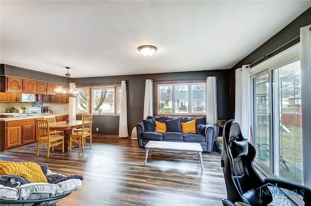 living room with plenty of natural light and wood finished floors