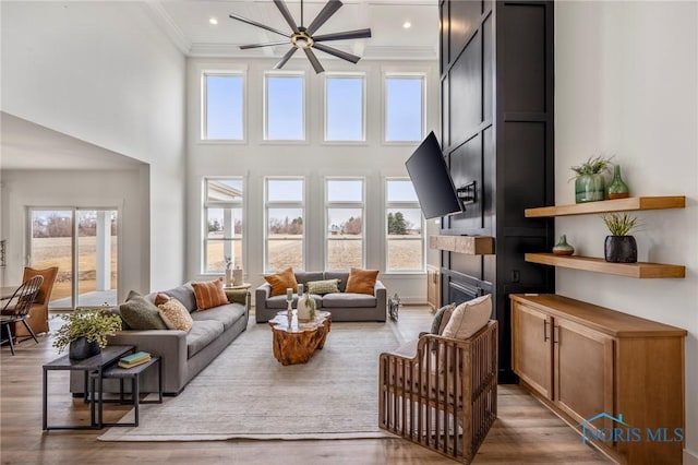 living area featuring ornamental molding, a fireplace, wood finished floors, and a towering ceiling