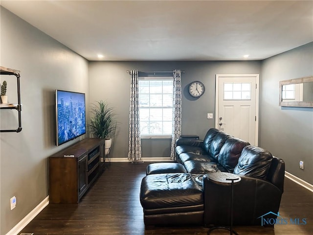 living area featuring baseboards and wood finished floors