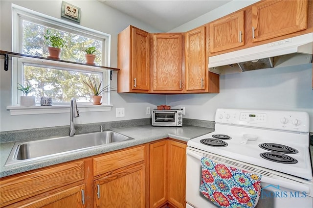 kitchen featuring a toaster, under cabinet range hood, white electric range, a sink, and brown cabinets