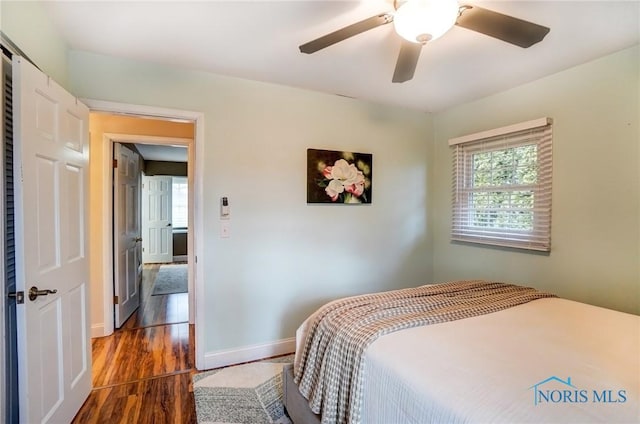 bedroom featuring dark wood-type flooring, ceiling fan, and baseboards