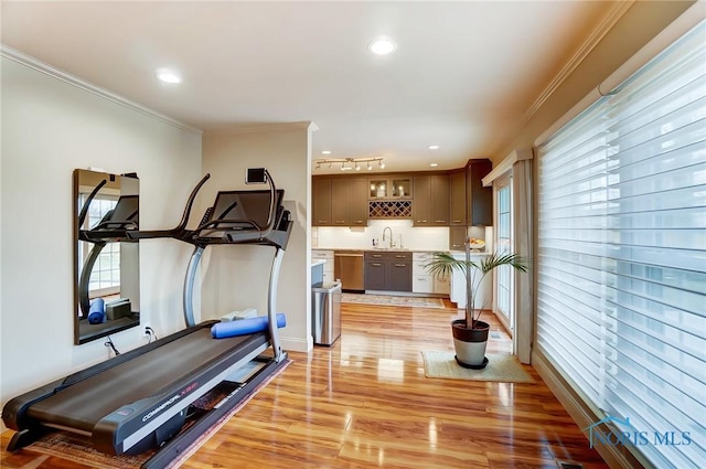 exercise room featuring wet bar, crown molding, light wood-style flooring, and a sink