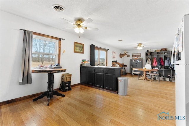 kitchen featuring light wood finished floors, dark cabinetry, visible vents, and a wealth of natural light