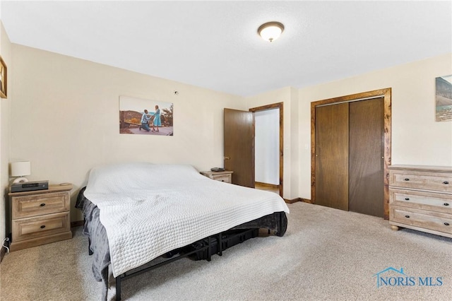 bedroom featuring carpet floors and a closet