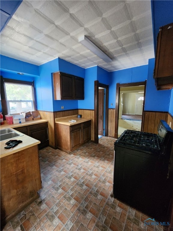 kitchen with wooden walls, wainscoting, a sink, and black gas range oven