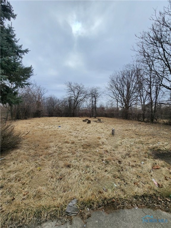 view of yard featuring a rural view