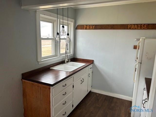 kitchen featuring dark wood finished floors, dark countertops, a sink, and freestanding refrigerator