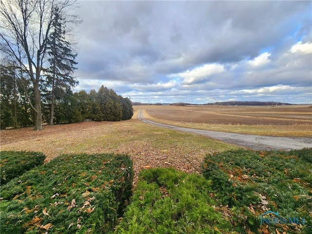 view of yard with a rural view