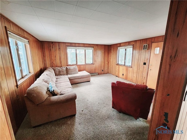 living area with carpet and wood walls