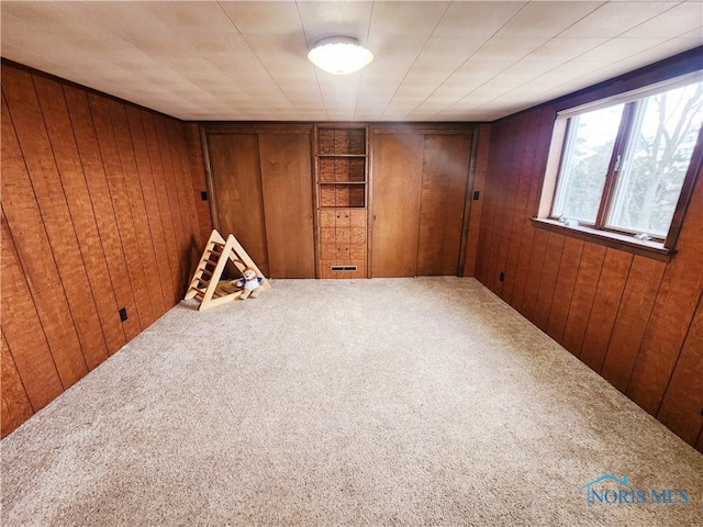 interior space featuring carpet and wood walls