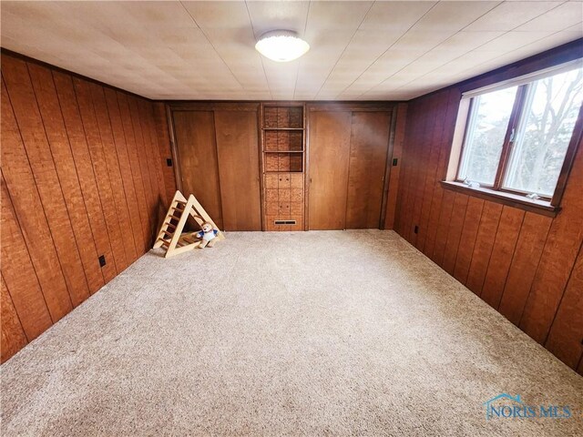 3221 Carrell Rd, Bucyrus, OH 44820 - carpeted empty room featuring wood walls and built in shelves
