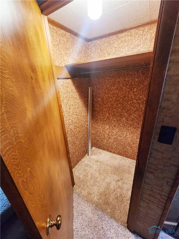 3221 Carrell Rd, Bucyrus, OH 44820 - detailed view of ornamental molding and carpet floors