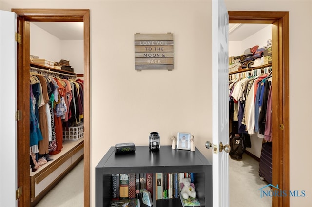 spacious closet with carpet flooring