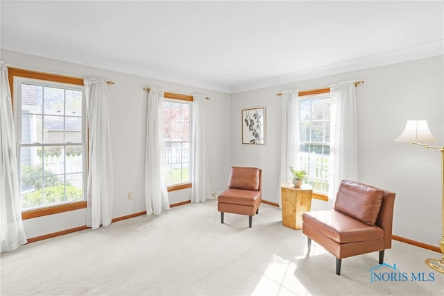 5605 Weckerly Rd, Whitehouse, OH 43571 - living area with baseboards and carpet flooring
