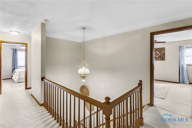 5605 Weckerly Rd, Whitehouse, OH 43571 - hall with baseboards, an upstairs landing, and carpet
