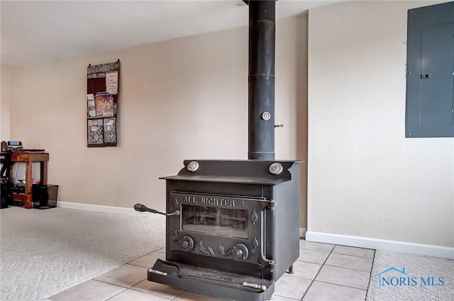 details with a wood stove, carpet floors, electric panel, and baseboards